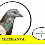 Figure 4.1